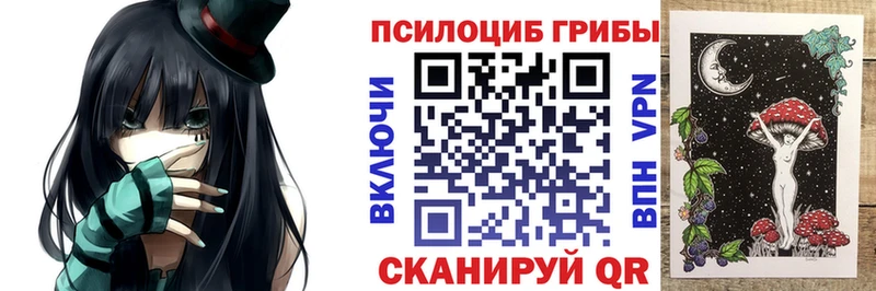 kraken зеркало Приозерск Псилоцибиновые грибы MAGIC MUSHROOMS